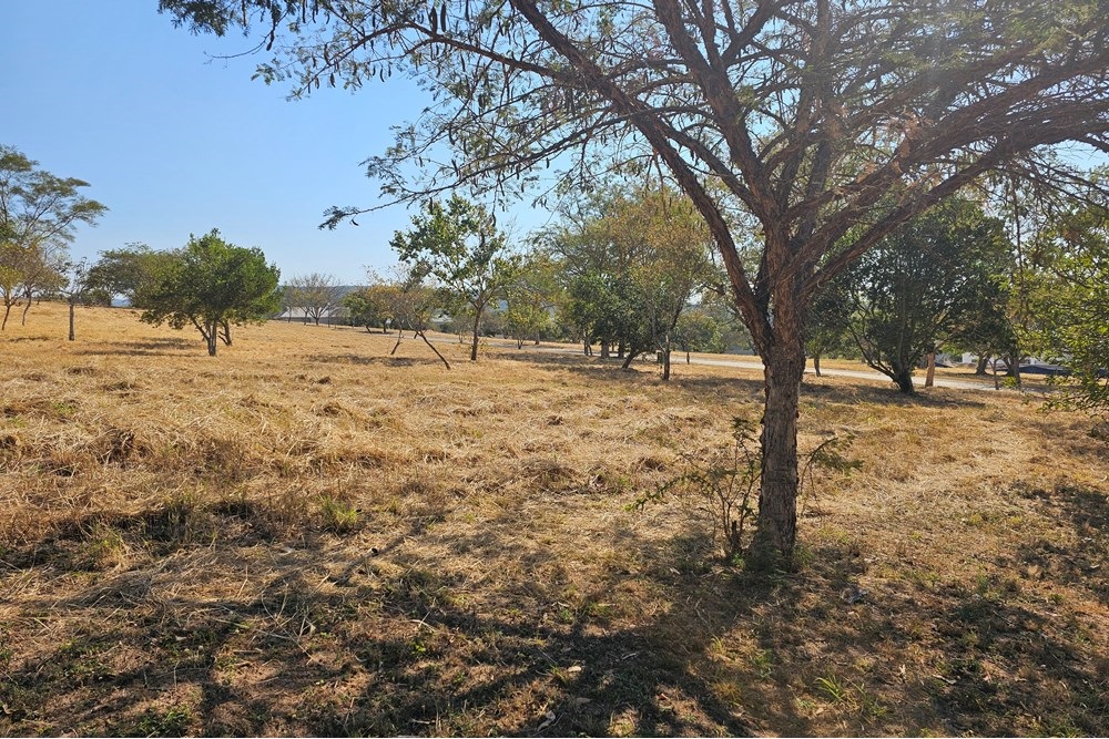 Vacant Stands For Sale in Sabie River Eco Estate, Hazyview