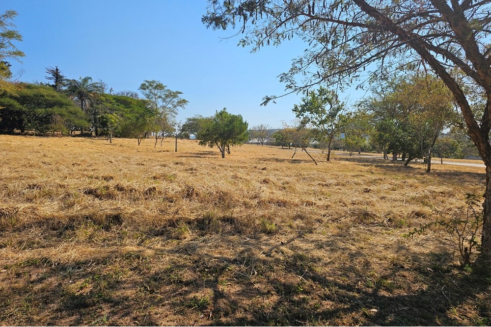 Vacant Stands For Sale in Sabie River Eco Estate, Hazyview