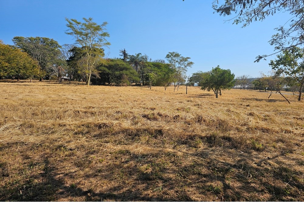 Vacant Stands For Sale in Sabie River Eco Estate, Hazyview