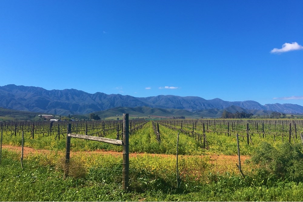 Vacant Land for sale in Robertson, 500 m²