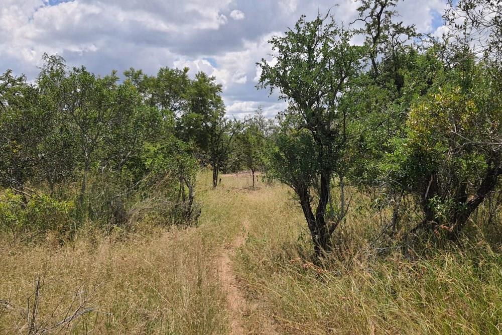 Vacant Land For Sale in Moditlo Nature Reserve, Hoedspruit