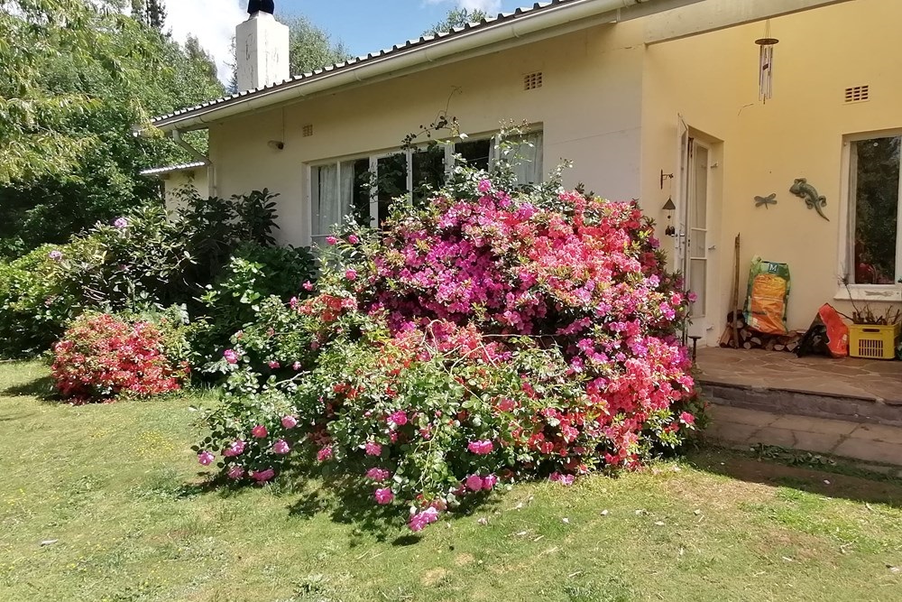 Apartment For Sale in Hogsback