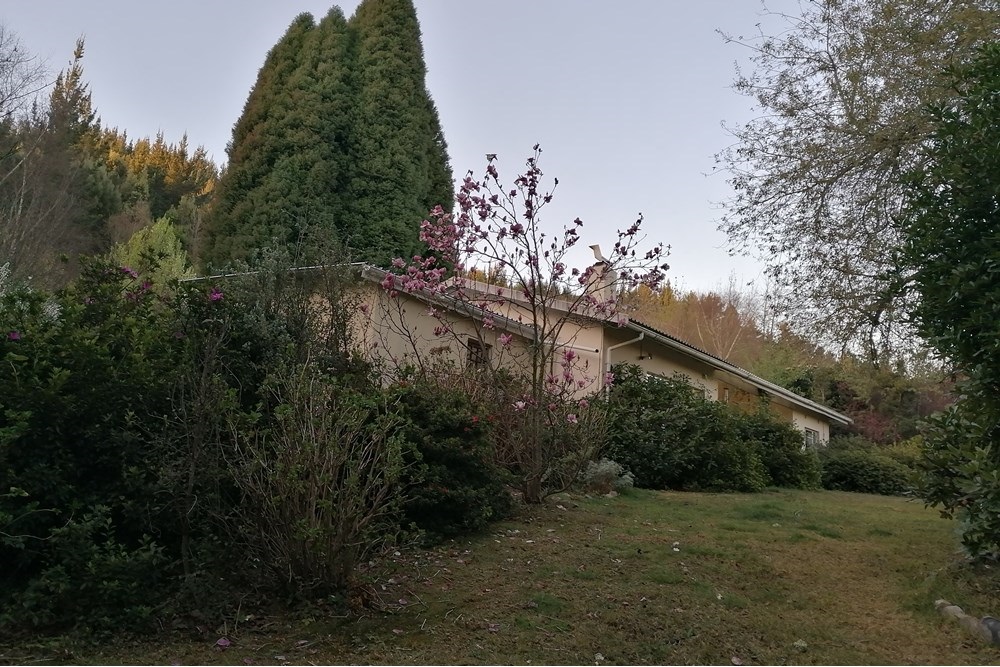 Apartment For Sale in Hogsback