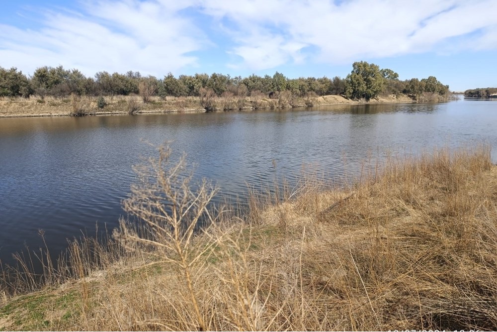 Land with 3 houses with river front For Sale in Rural Bothaville Free State