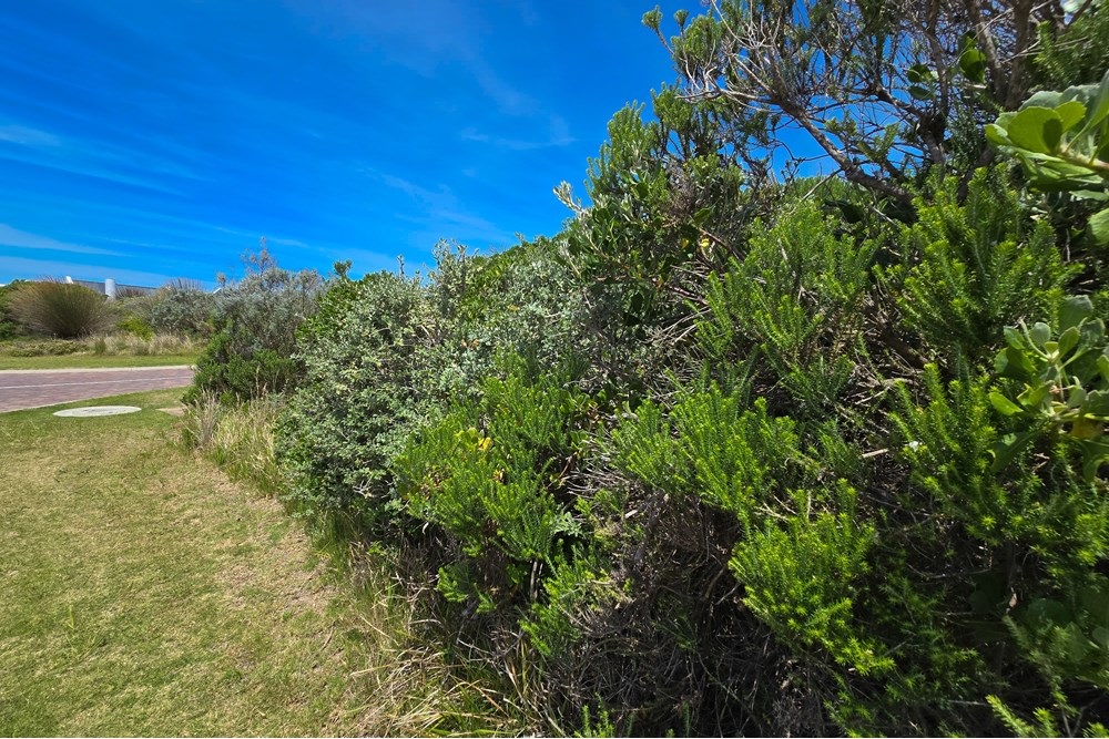 Vacant Land For Sale in St Francis Links St Francis Bay Eastern Cape
