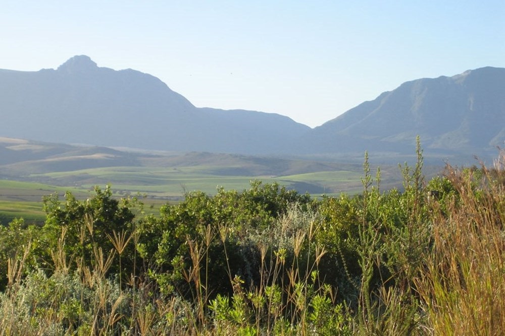 600 sqm Vacant Land For Sale in Heidelberg Central, Heidelberg