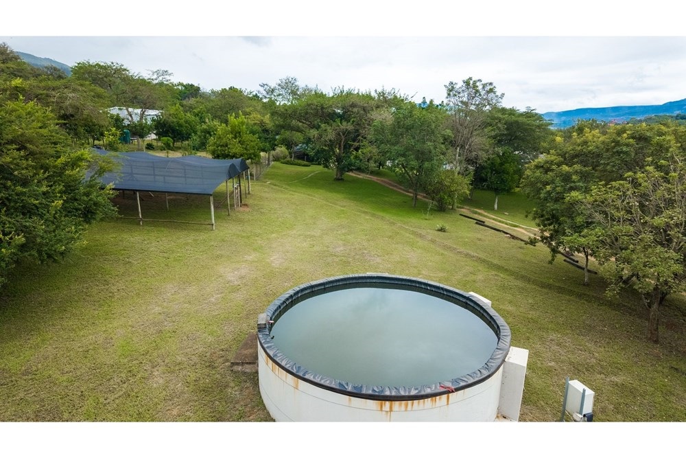 Small Holding For Sale in Alkmaar Nelspruit