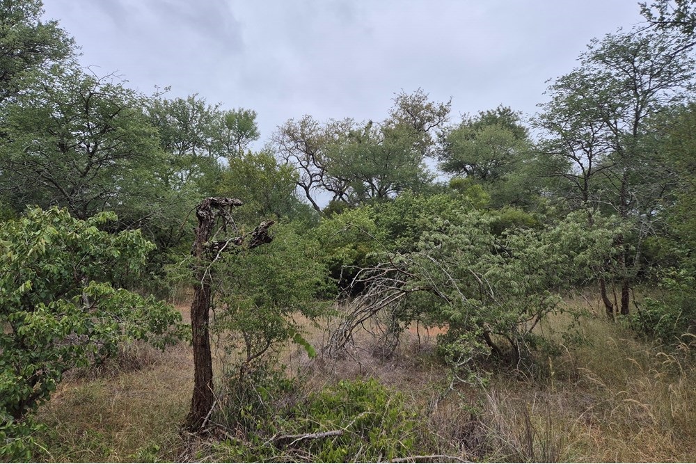 Vacant Land For Sale in Hoedspruit