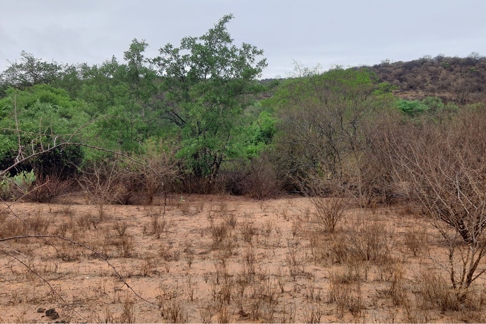 Vacant Land For Sale in Elephant Rock Eco Estate, Hoedspruit