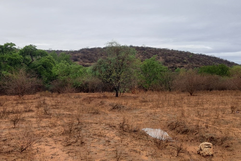 Vacant Land For Sale in Elephant Rock Eco Estate, Hoedspruit