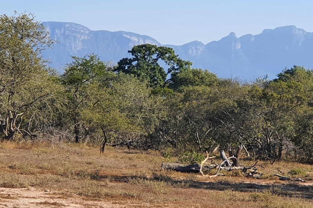 Vacant Land For Sale in Moditlo Nature Reserve, Hoedspruit