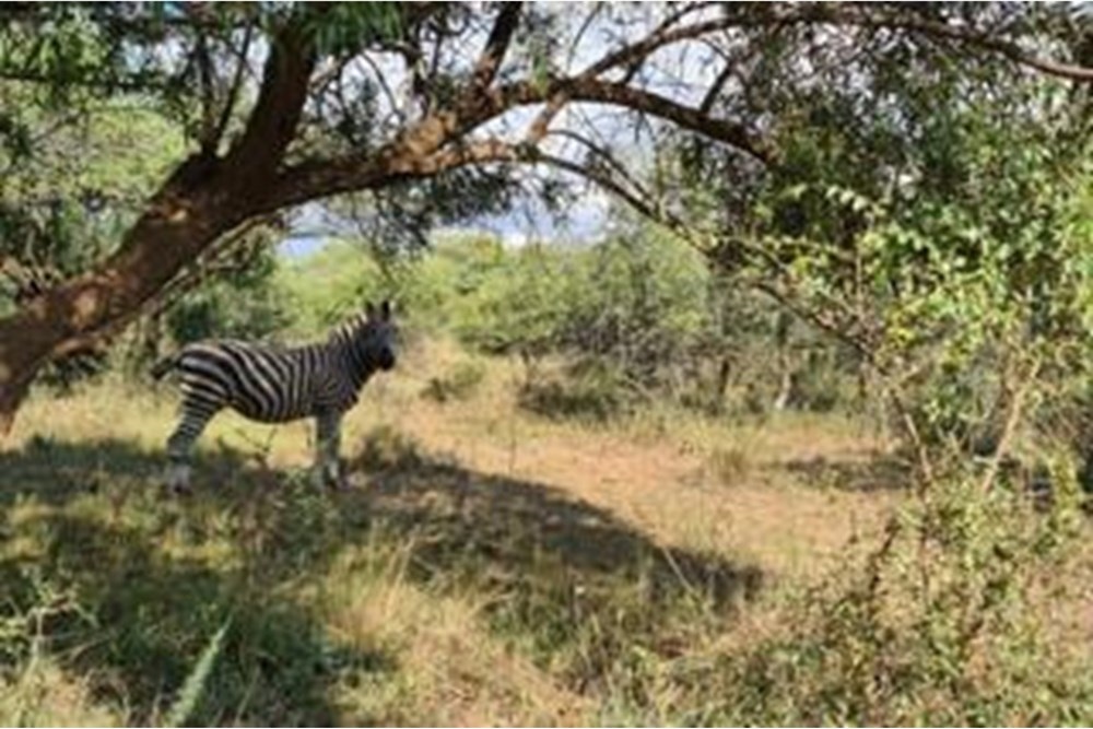 Vacant Land For Sale in Roodeplaat, Pretoria