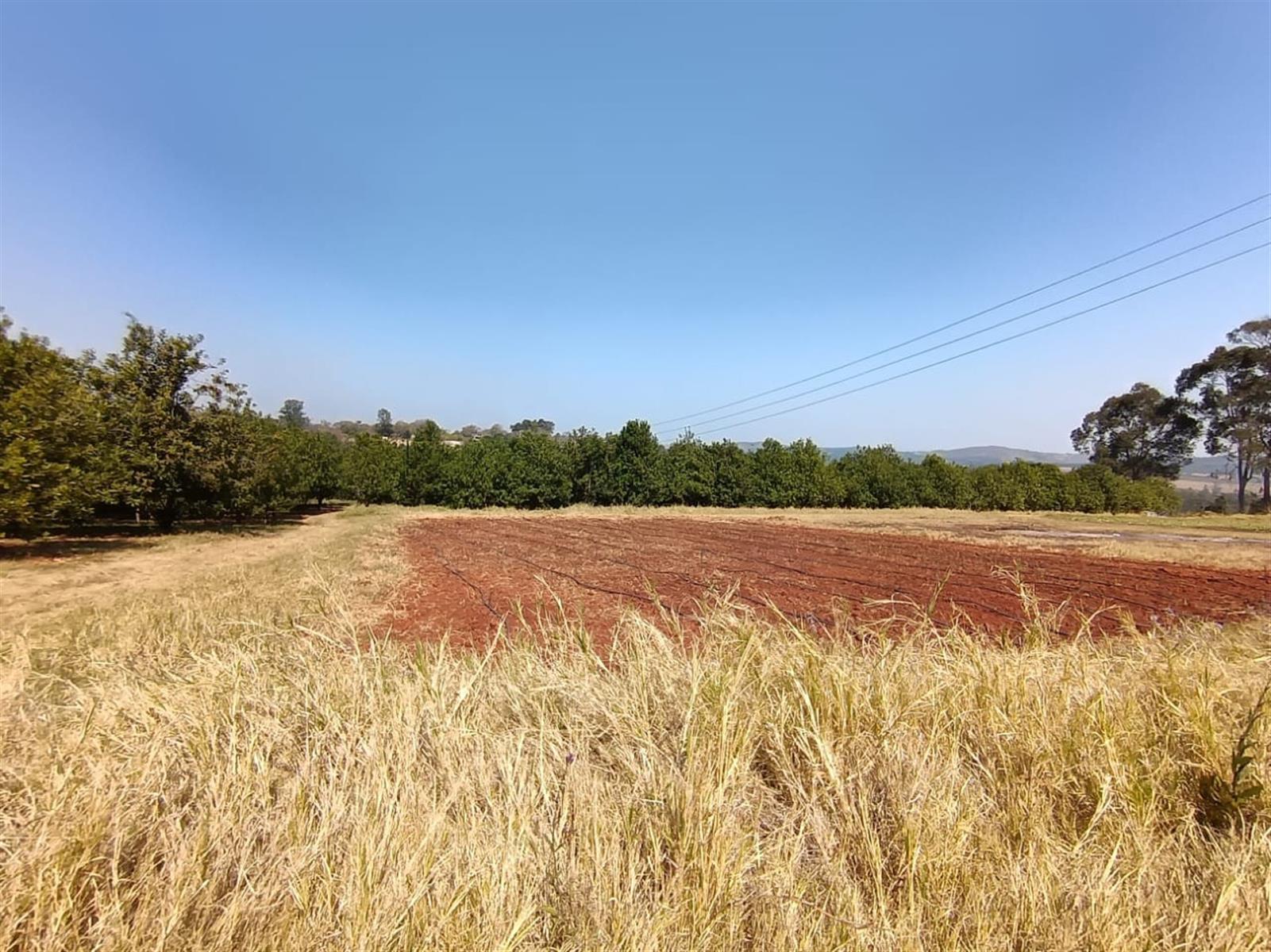 10Hectare Farm with Multiple Homes, Flats and Income-Producing Crops