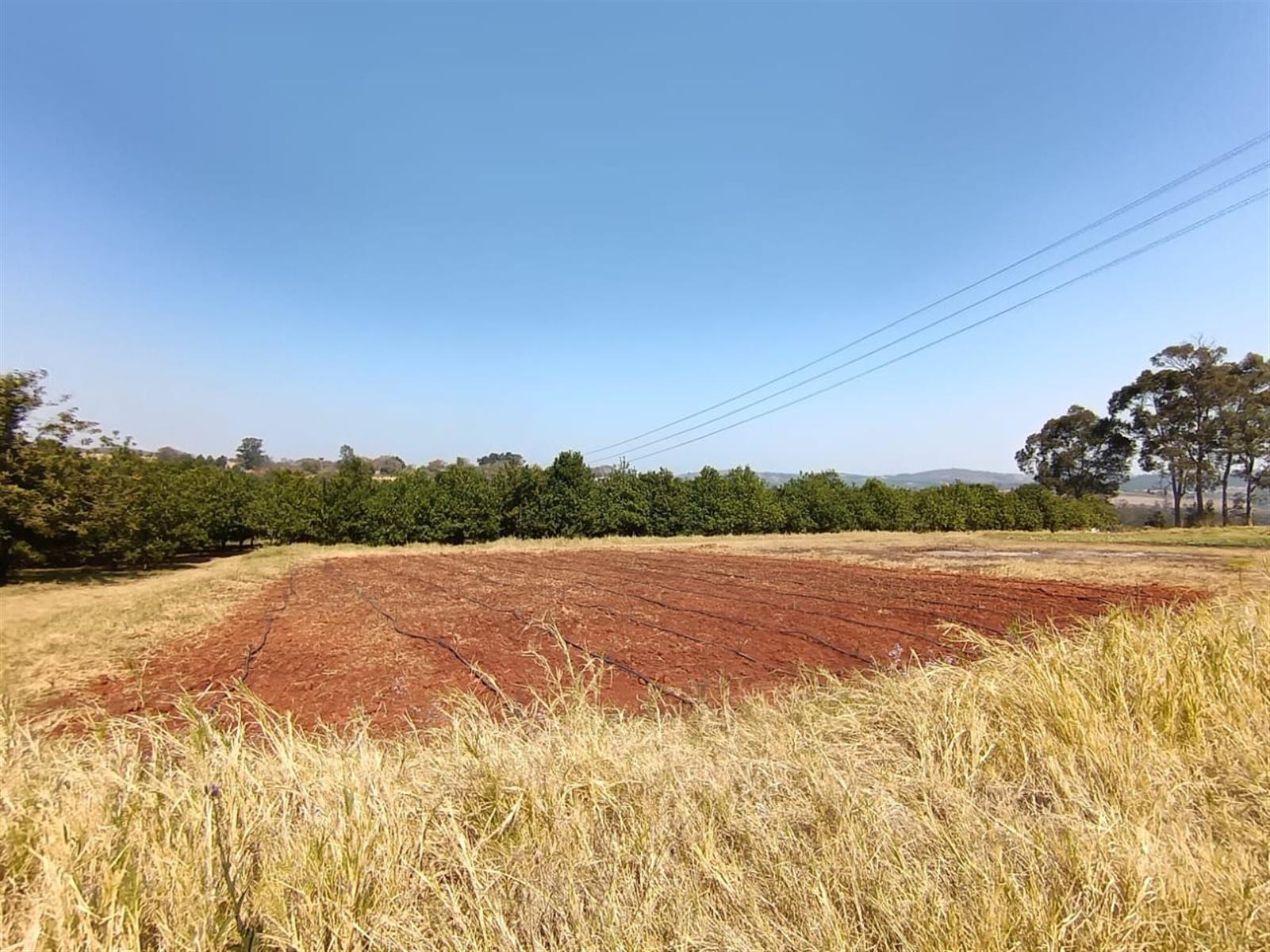 10Hectare Farm with Multiple Homes, Flats and Income-Producing Crops