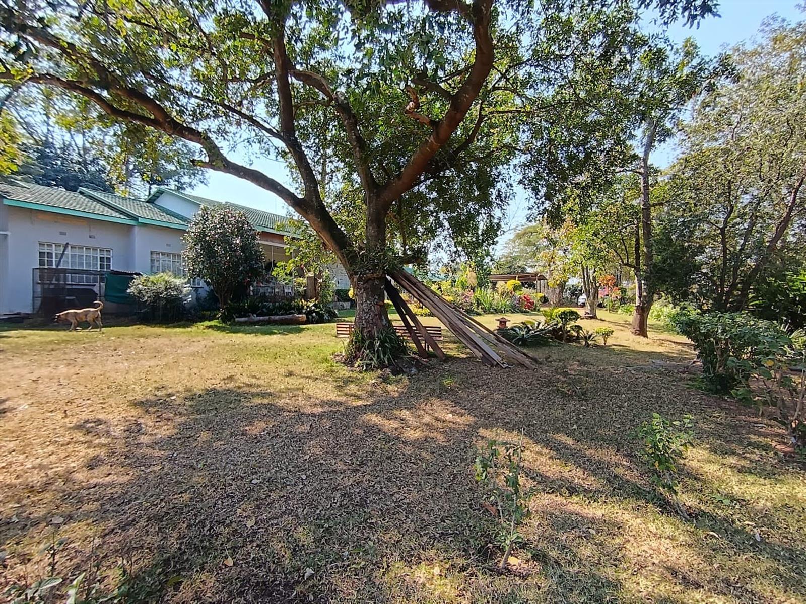 10Hectare Farm with Multiple Homes, Flats and Income-Producing Crops