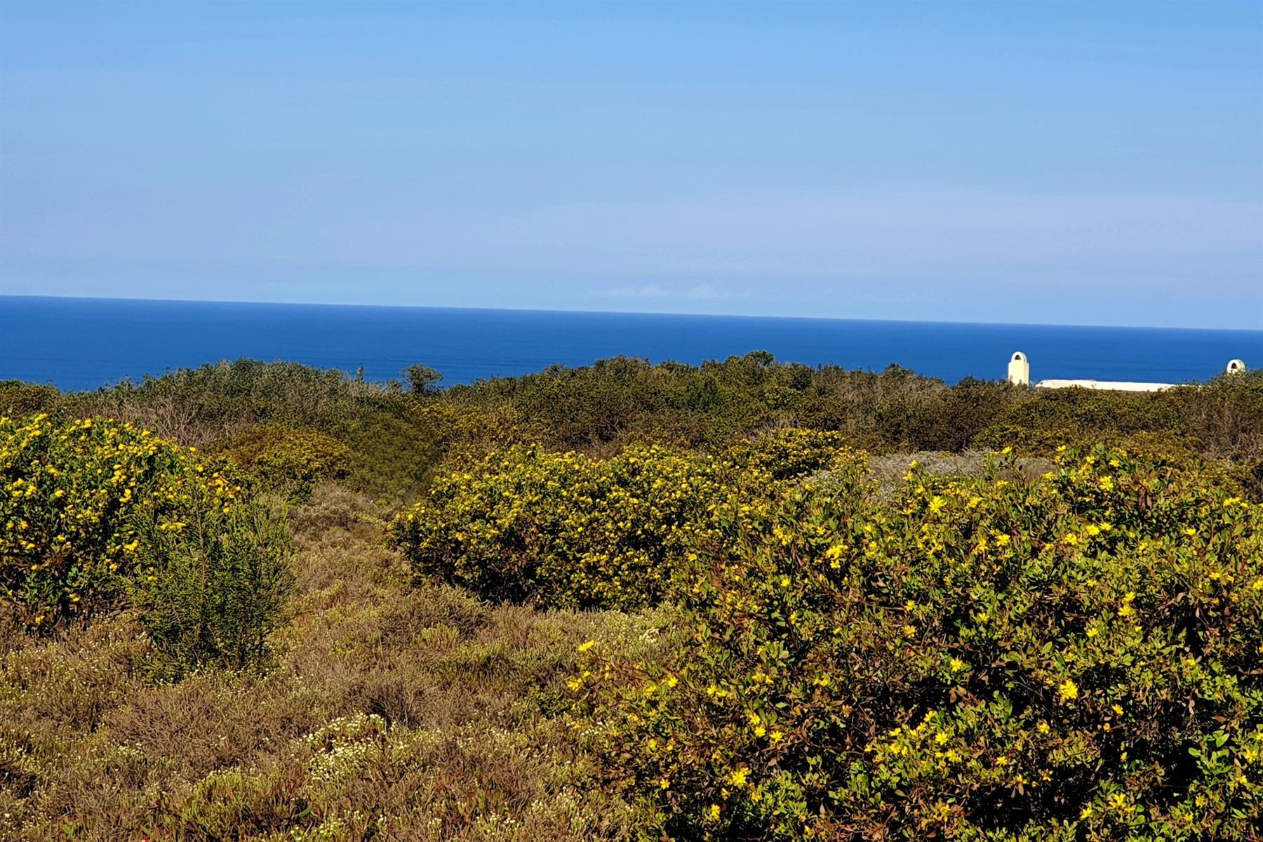 Exclusive Vacant Stand in Springerbaai Eco Estate