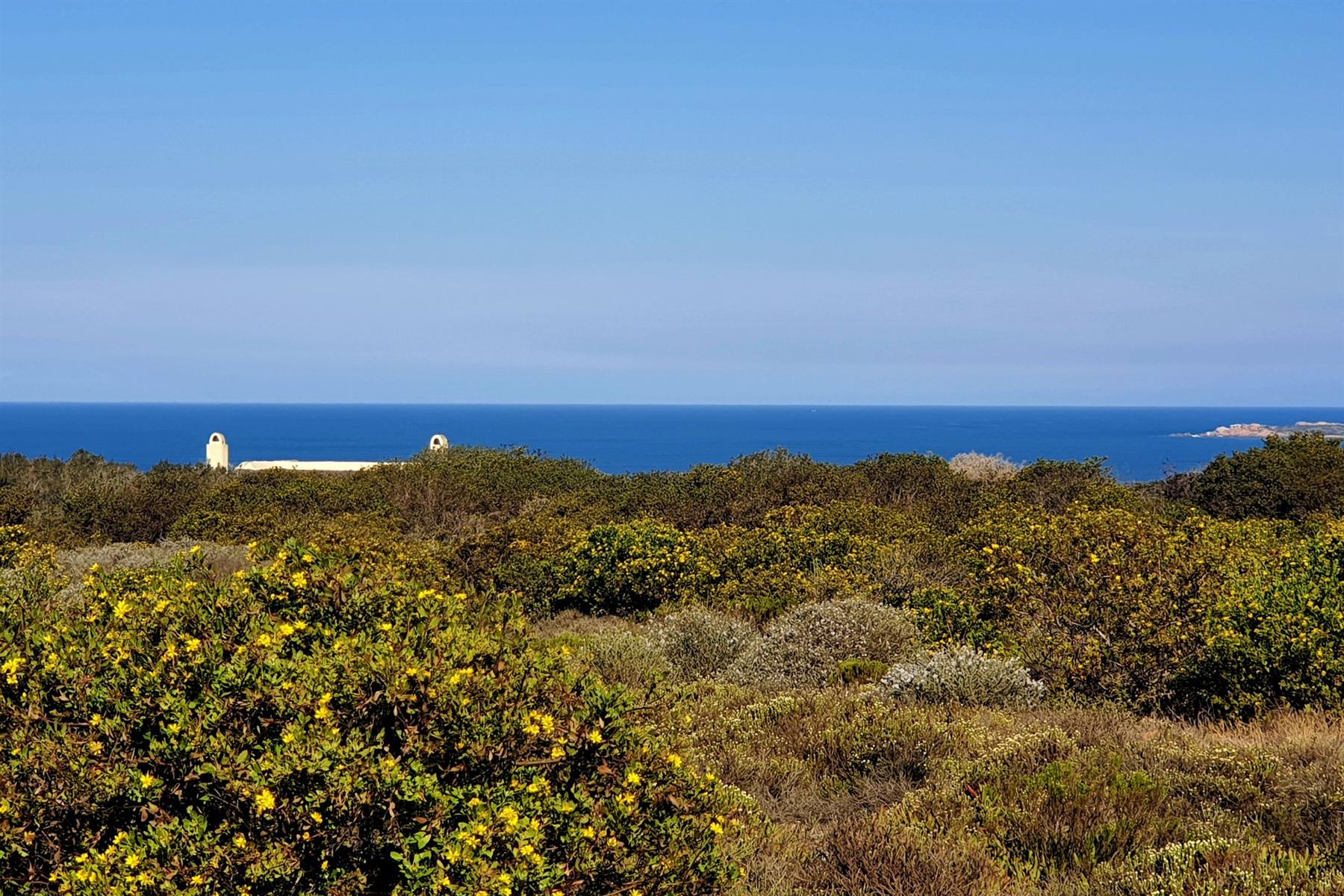 Exclusive Vacant Stand in Springerbaai Eco Estate