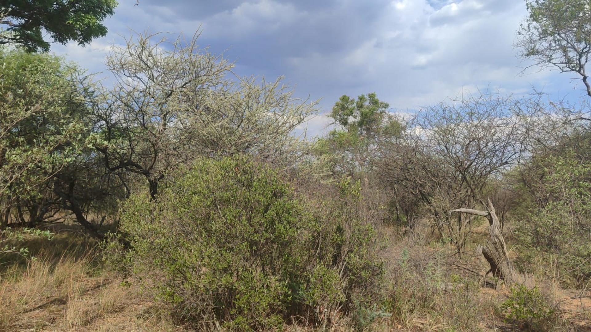 Farm For Sale in Shona Langa Thabazimbi Limpopo