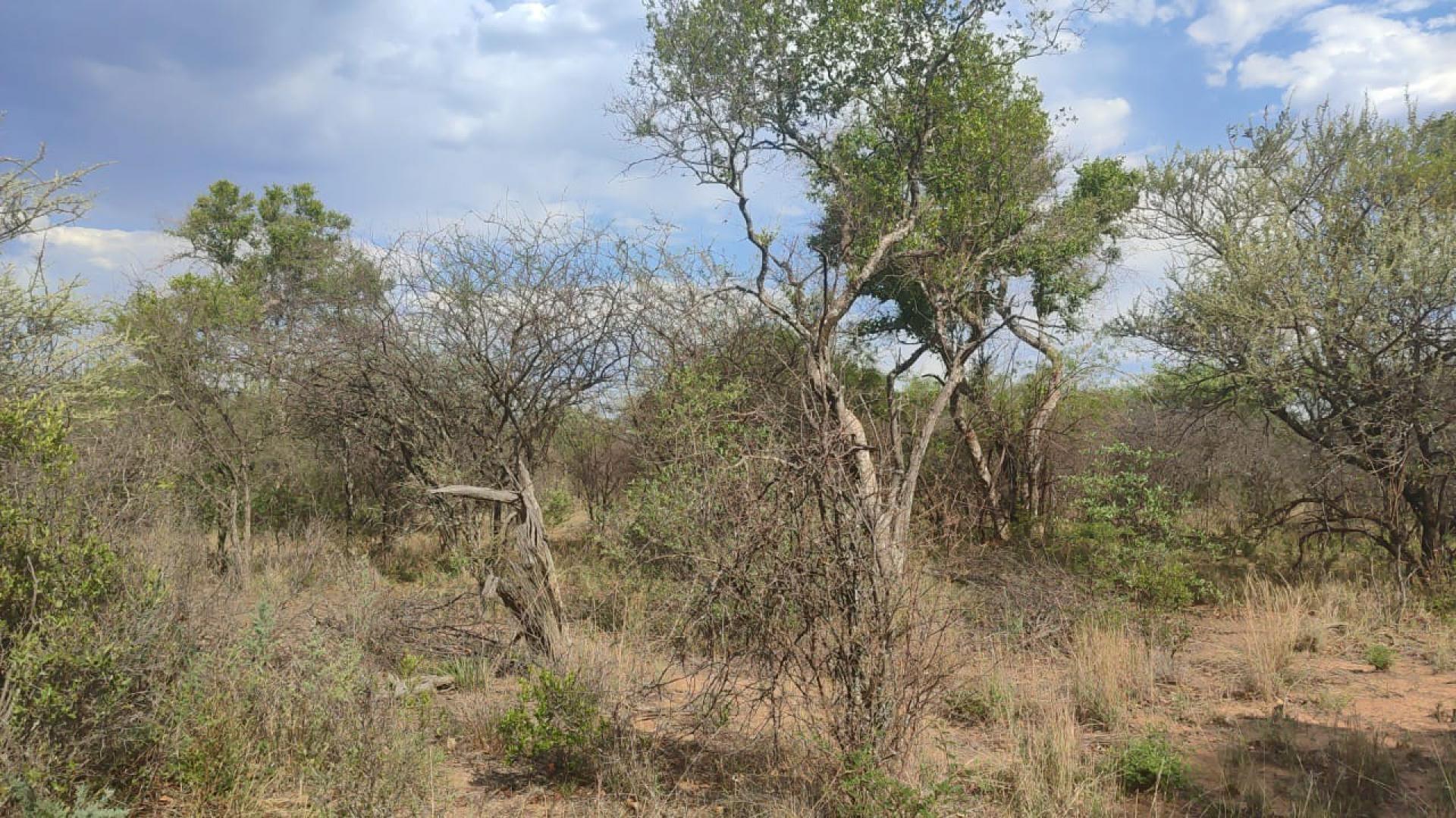 Farm For Sale in Shona Langa Thabazimbi Limpopo
