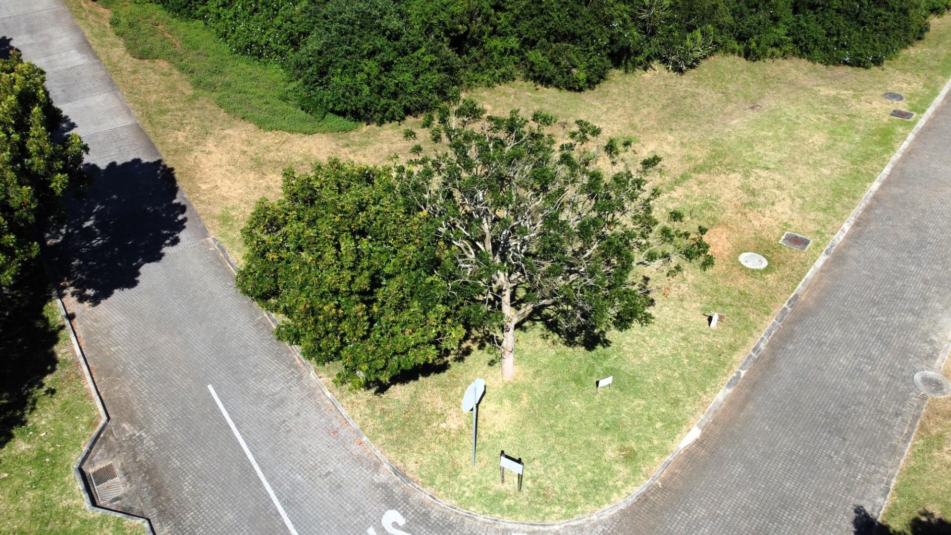 Vacant Land For Sale in Port Alfred Central, Port Alfred