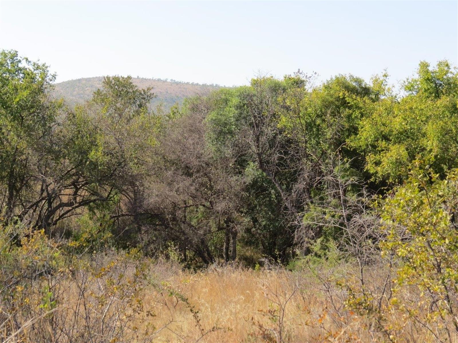 Vacant Land in Zwartkloof Private Game Reserve Spectacular Mountain Views