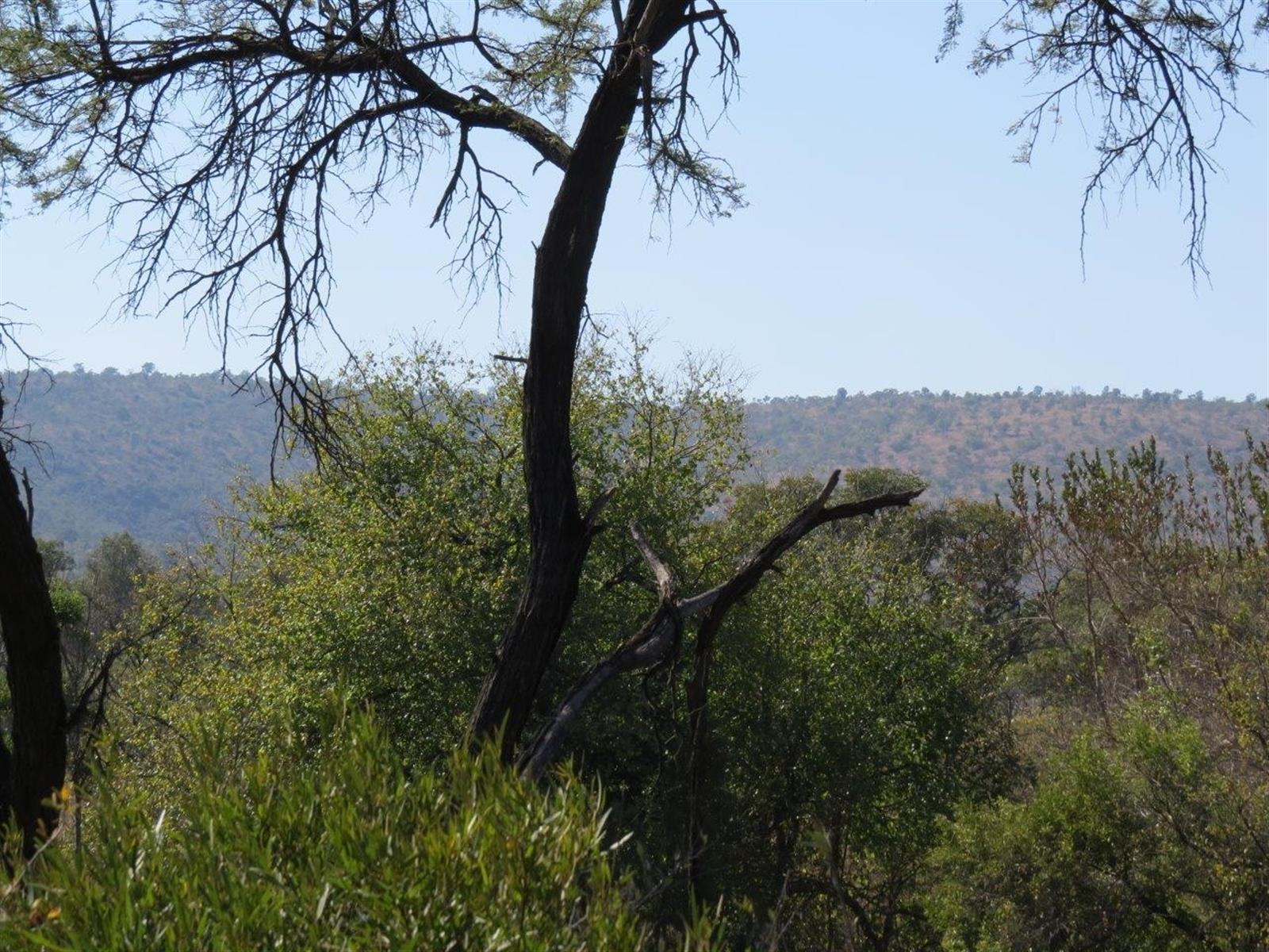 Vacant Land in Zwartkloof Private Game Reserve Spectacular Mountain Views
