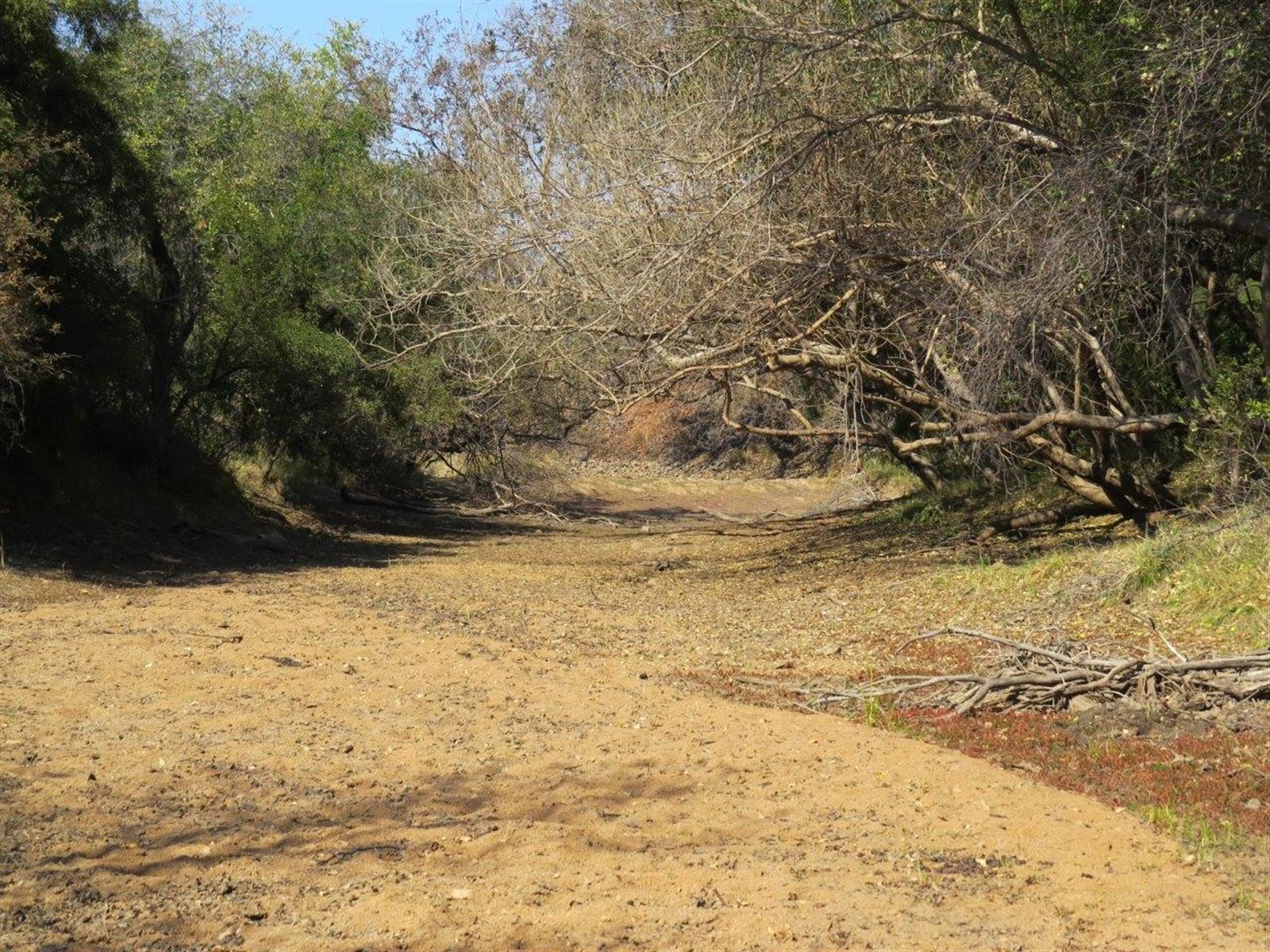Vacant Land in Zwartkloof Private Game Reserve Spectacular Mountain Views