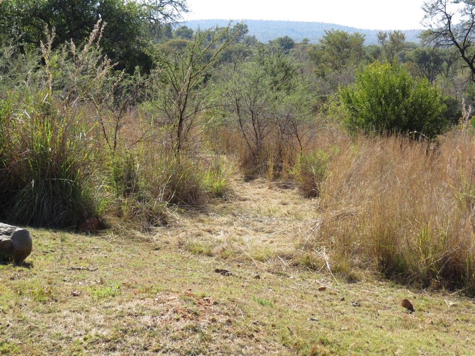 Vacant Land in Zwartkloof Private Game Reserve Spectacular Mountain Views