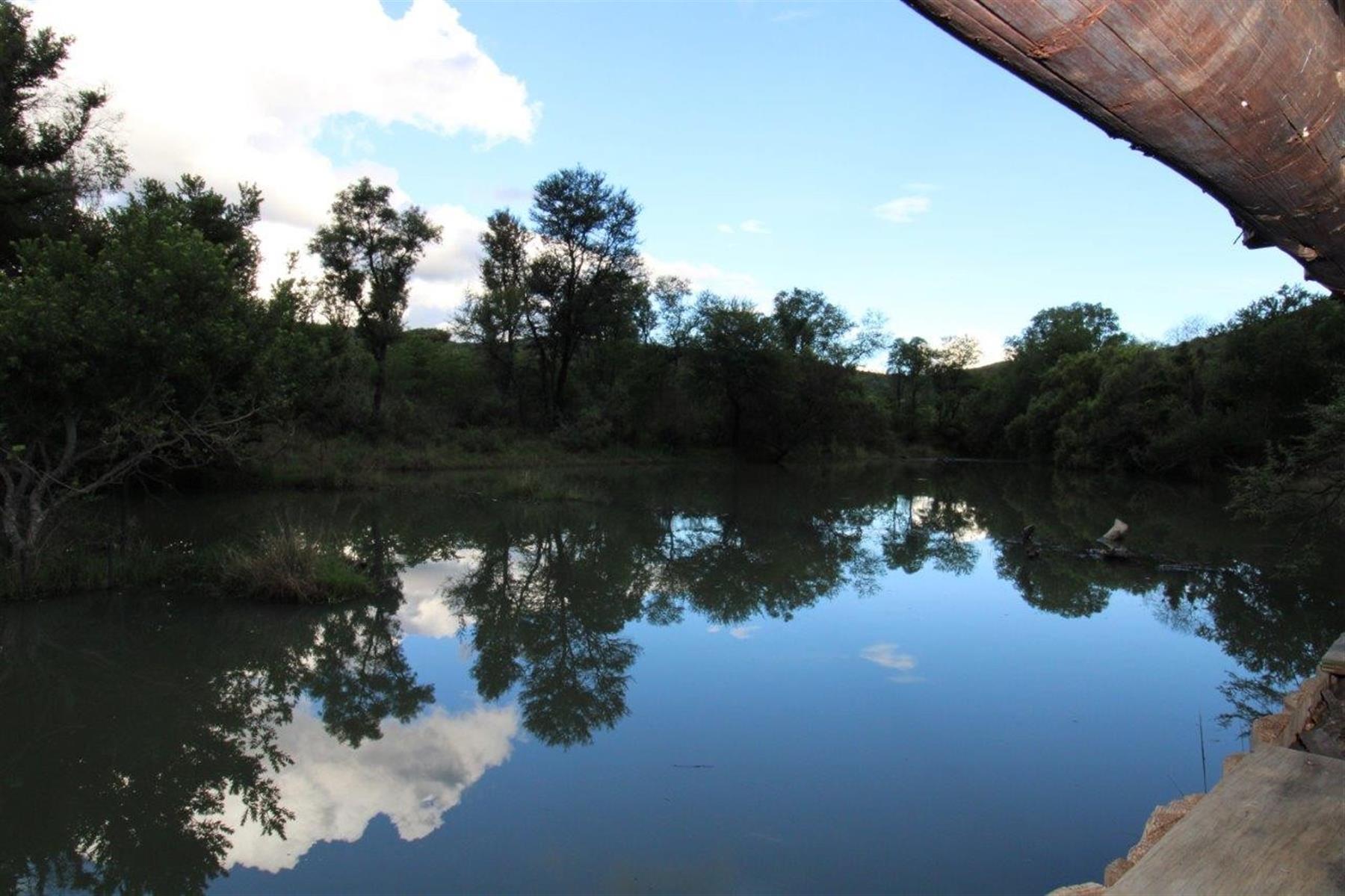 Vacant Land in Zwartkloof Private Game Reserve Spectacular Mountain Views