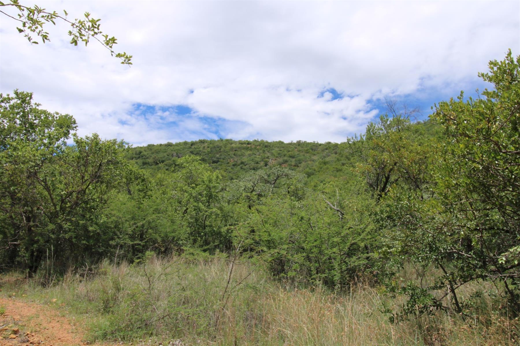 Vacant Land in Zwartkloof Private Game Reserve, Bela Bela