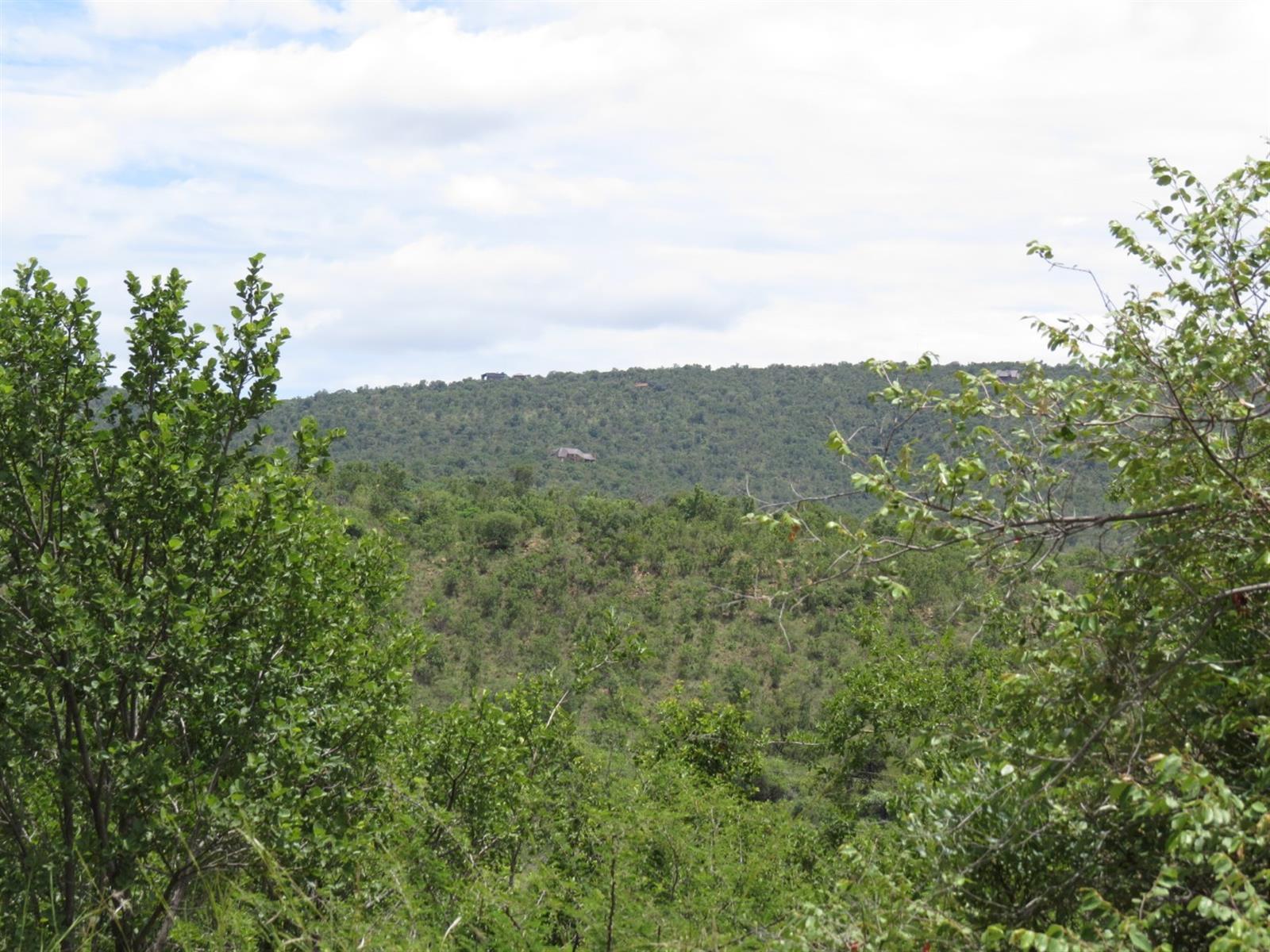 Vacant Land in Zwartkloof Private Game Reserve, Bela Bela