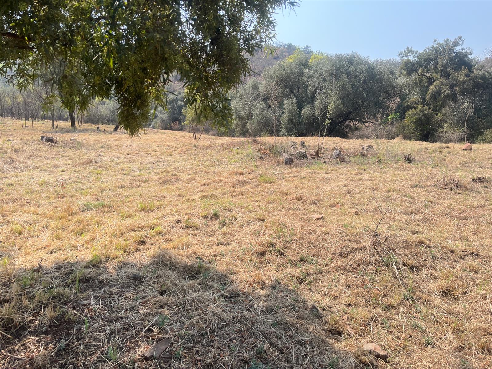 Vacant Land For Sale in Estate D' Afrique, Hartbeespoort, North West