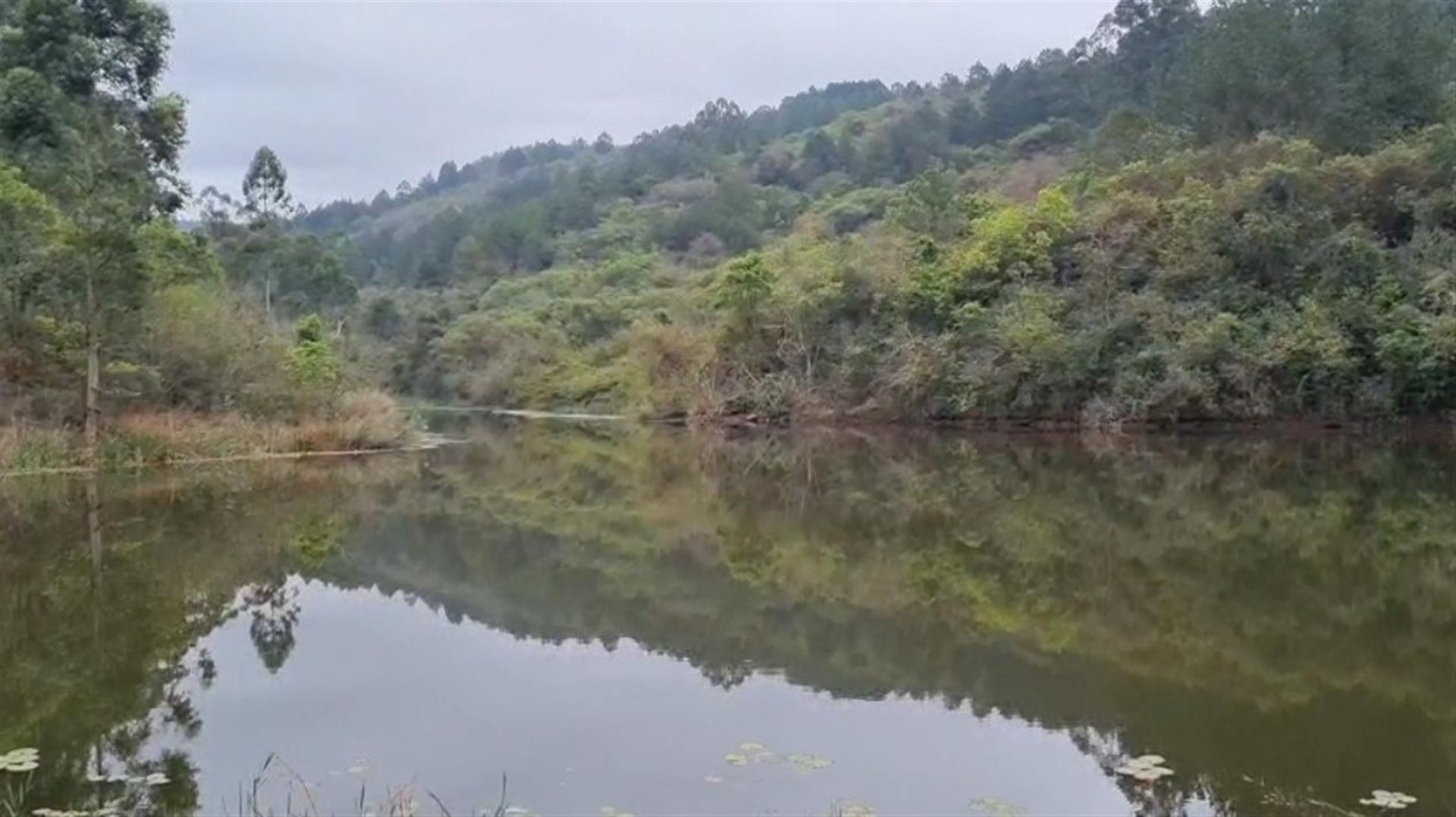 Exclusive Lowveld Mixed Agricultural Estate for sale