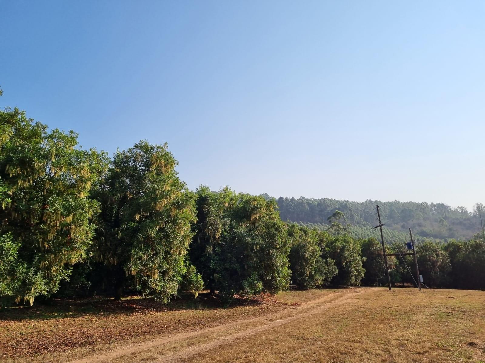 Exclusive Lowveld Mixed Agricultural Estate for sale