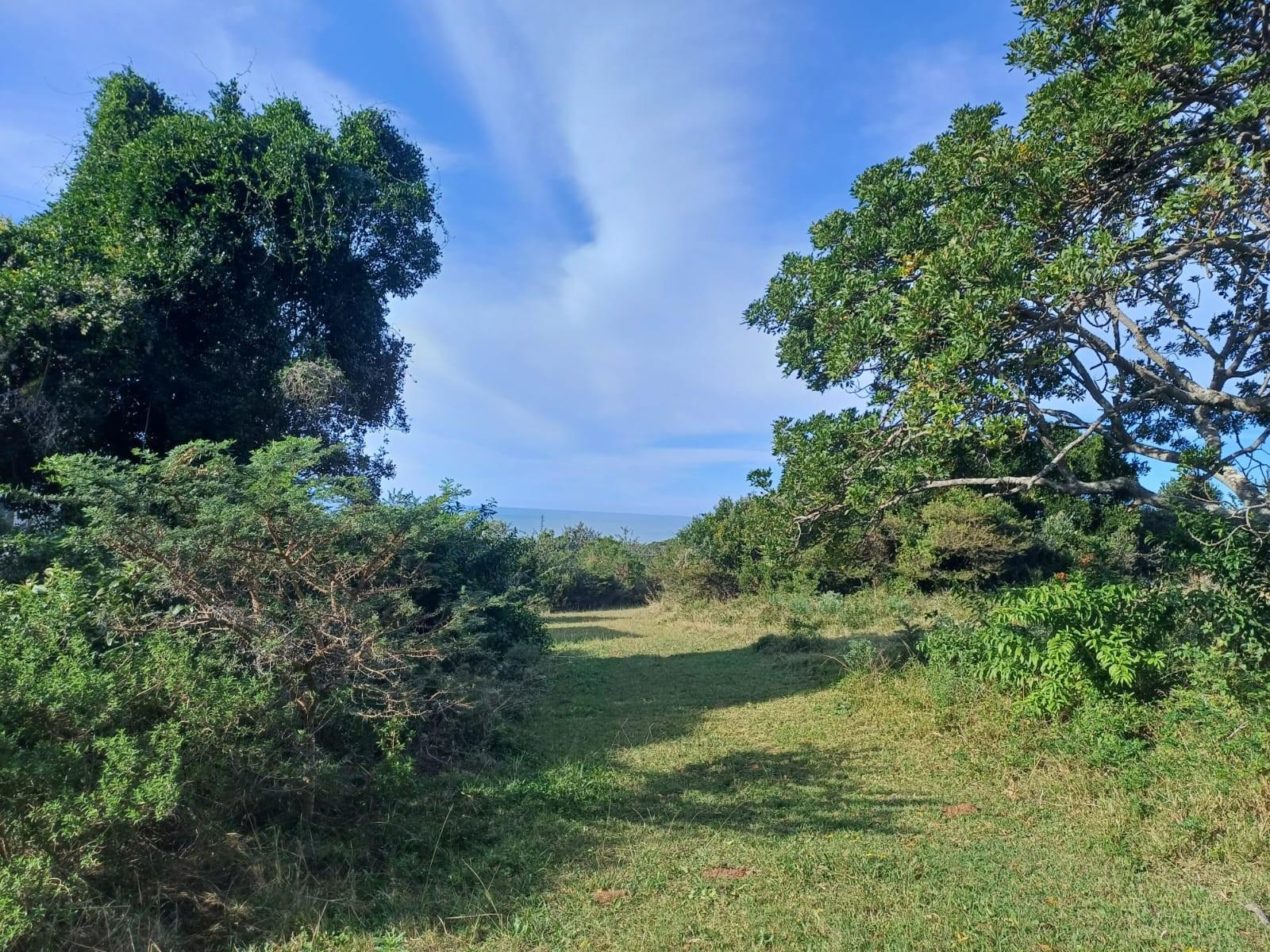 Prime Vacant Land for Sale in Cintsa East - Ready to Build!