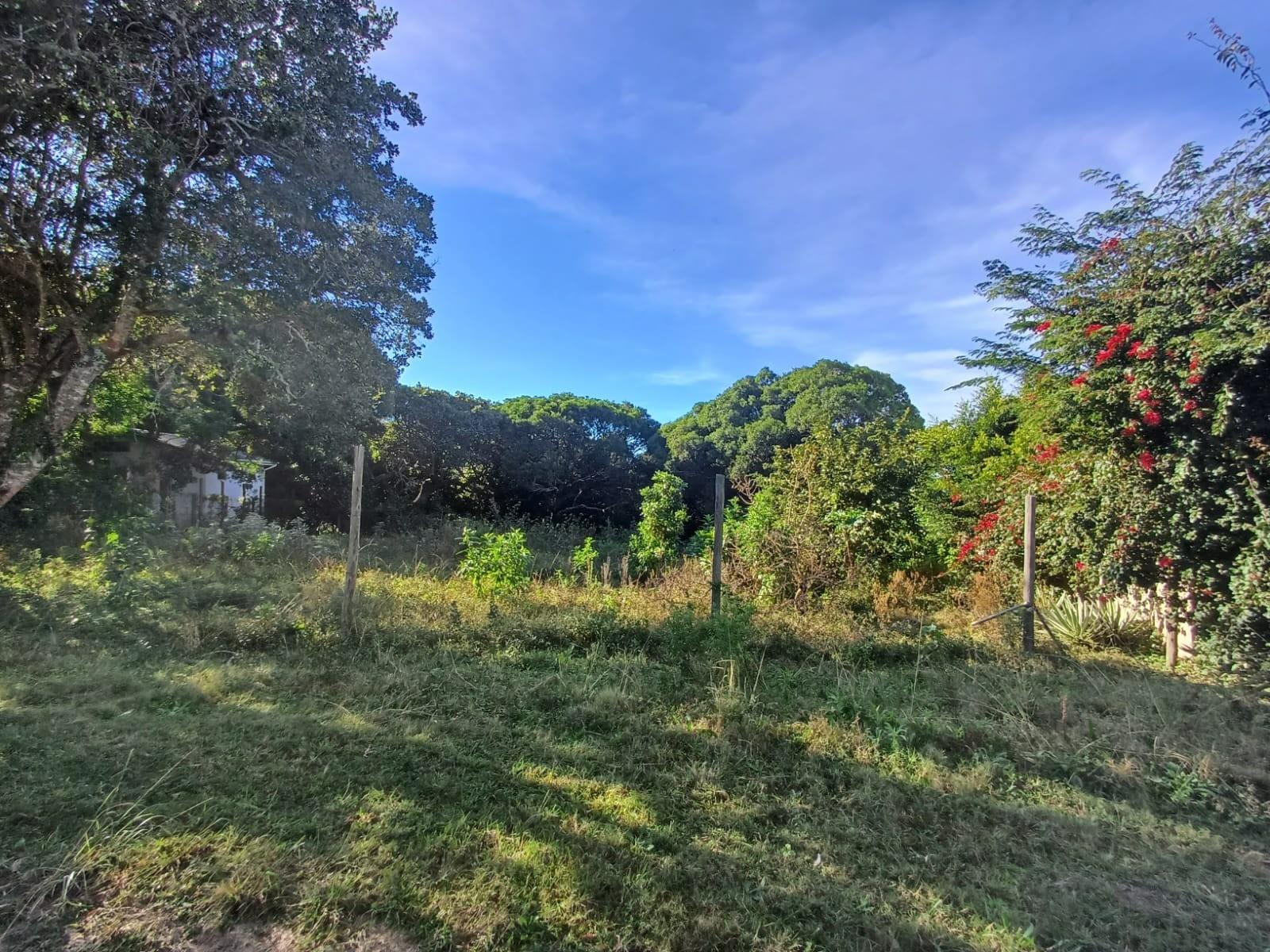 Prime Vacant Land for Sale in Cintsa East - Ready to Build!