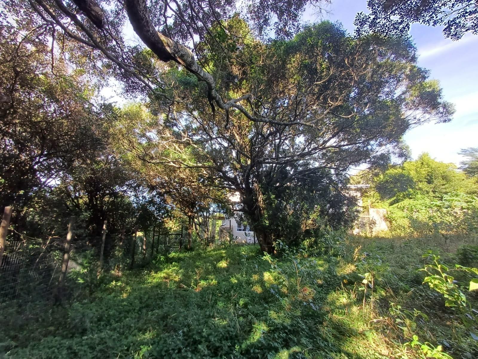 Prime Vacant Land for Sale in Cintsa East - Ready to Build!