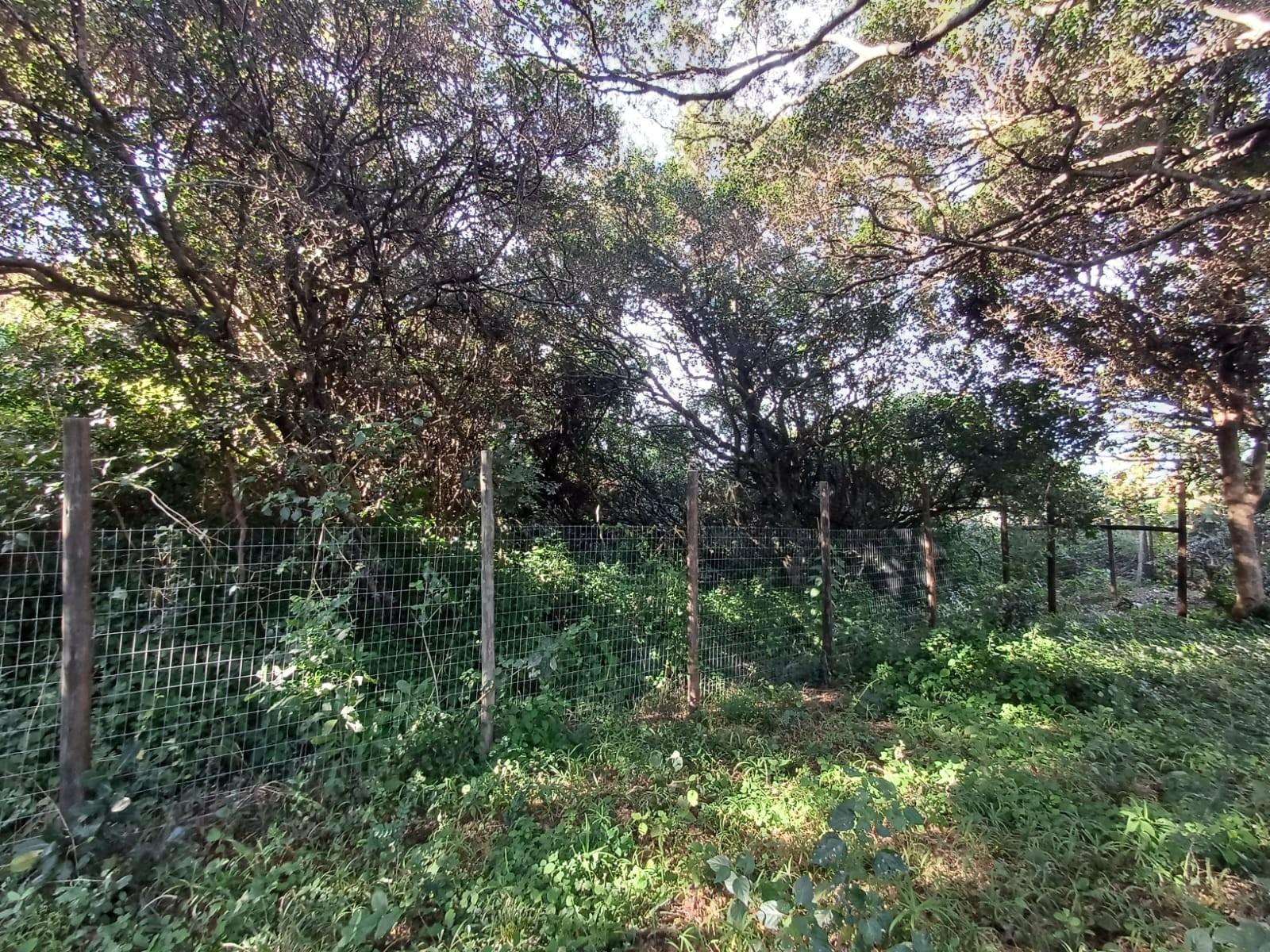 Prime Vacant Land for Sale in Cintsa East - Ready to Build!