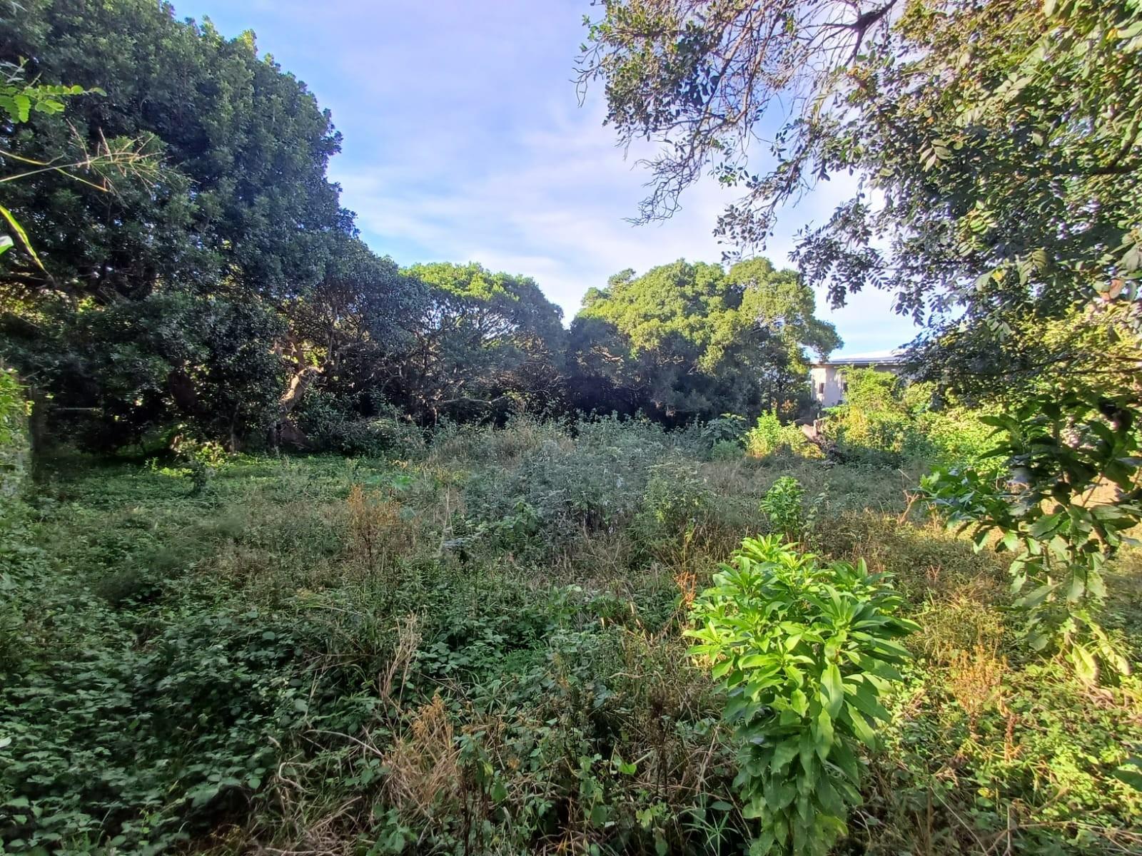 Prime Vacant Land for Sale in Cintsa East - Ready to Build!