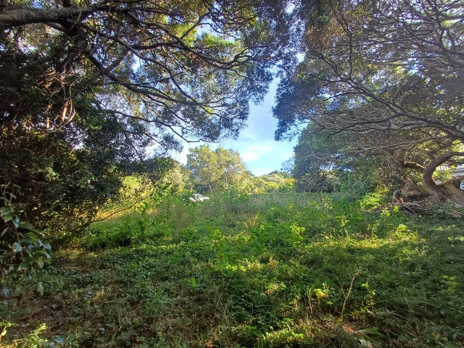 Prime Vacant Land for Sale in Cintsa East - Ready to Build!
