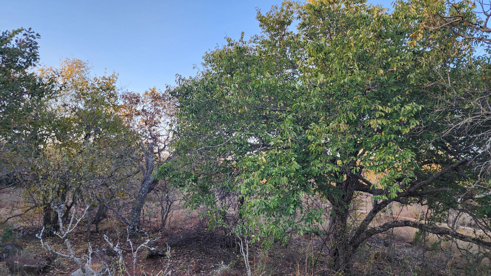VERLOREN ESTATE - Vacant Land in Residential Cluster, Bela Bela