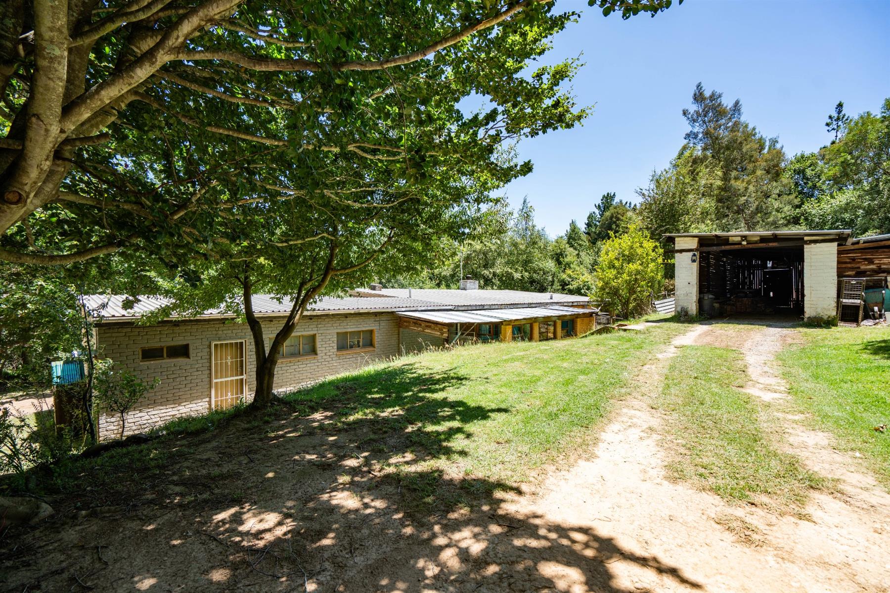 Charming Forest Retreat with Historic Soul
