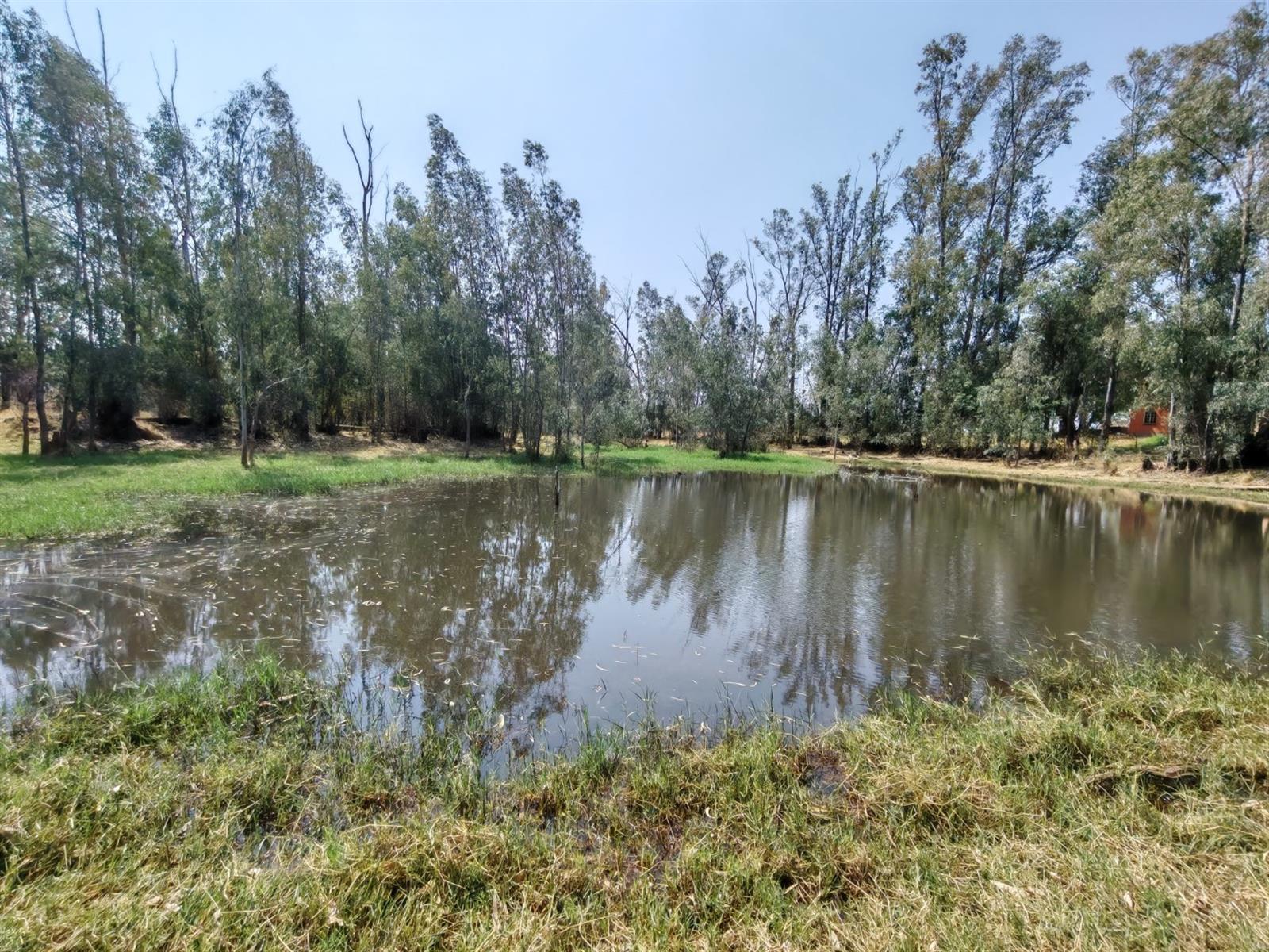 Smallholding for Sale - Spacious house on 5.7 ha with River Views near Bela Bela