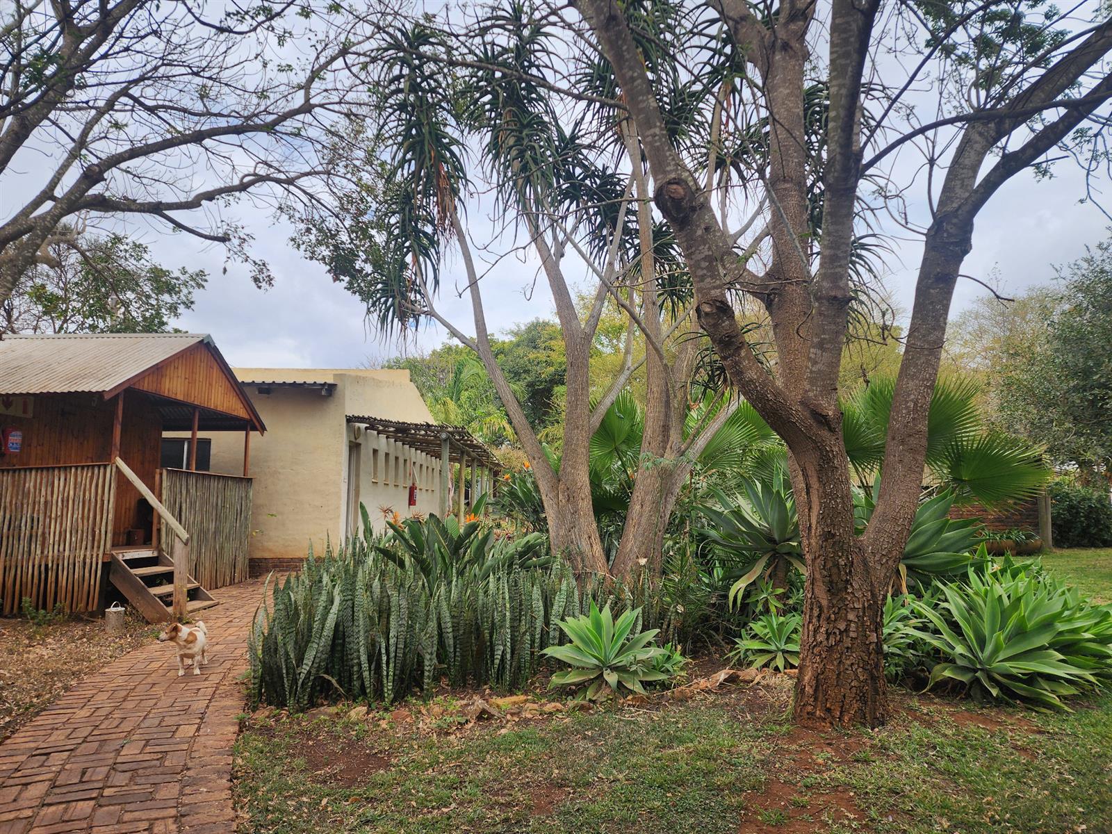 Commercial Property for sale in Dalmada AH, Polokwane