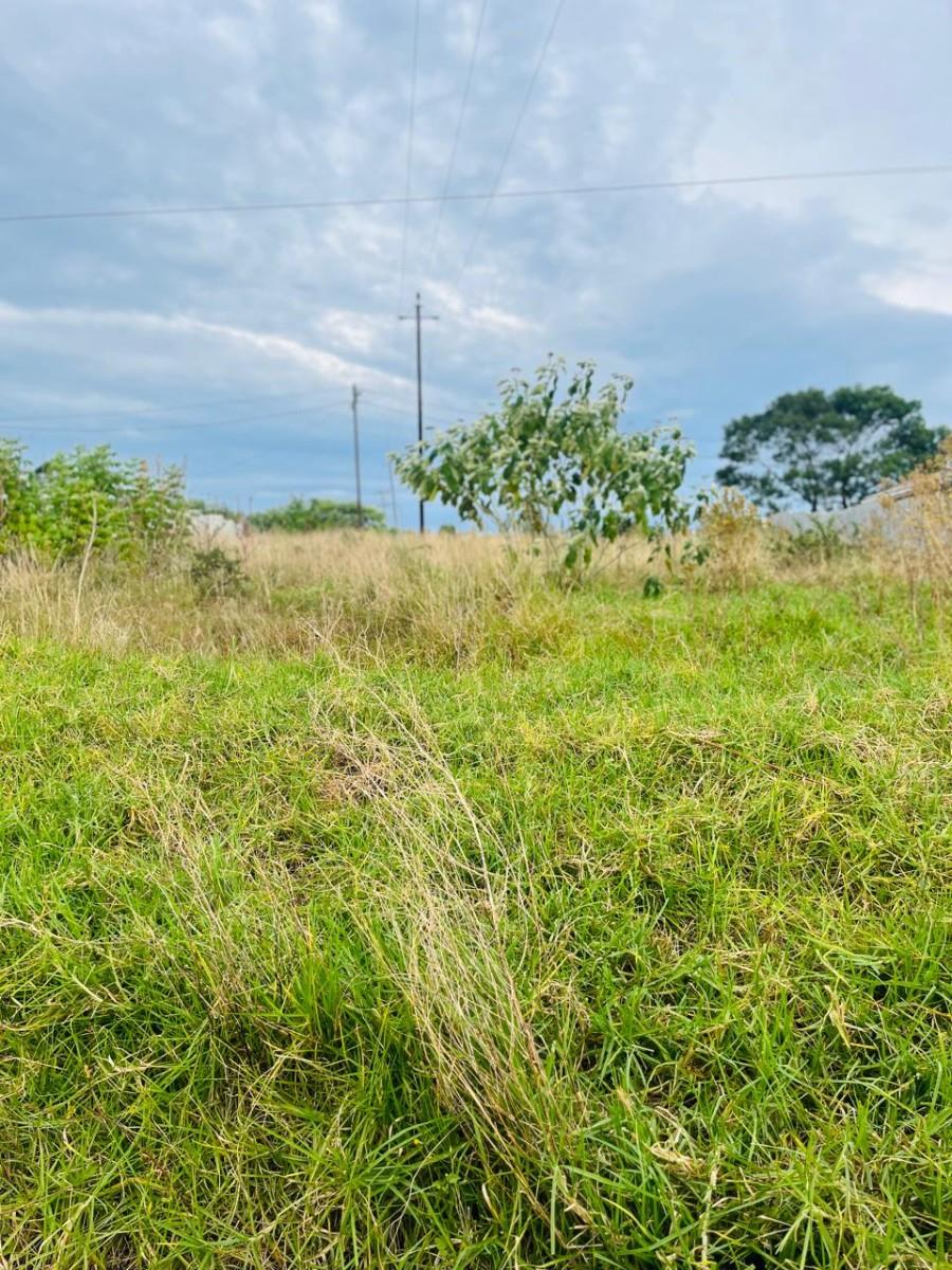 Vacant Land For Sale in Butterworth