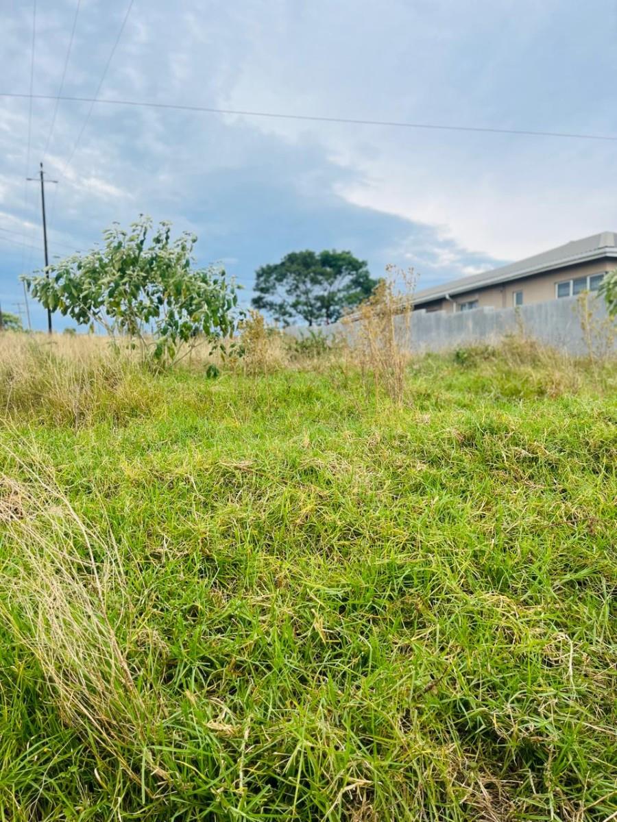 Vacant Land For Sale in Butterworth