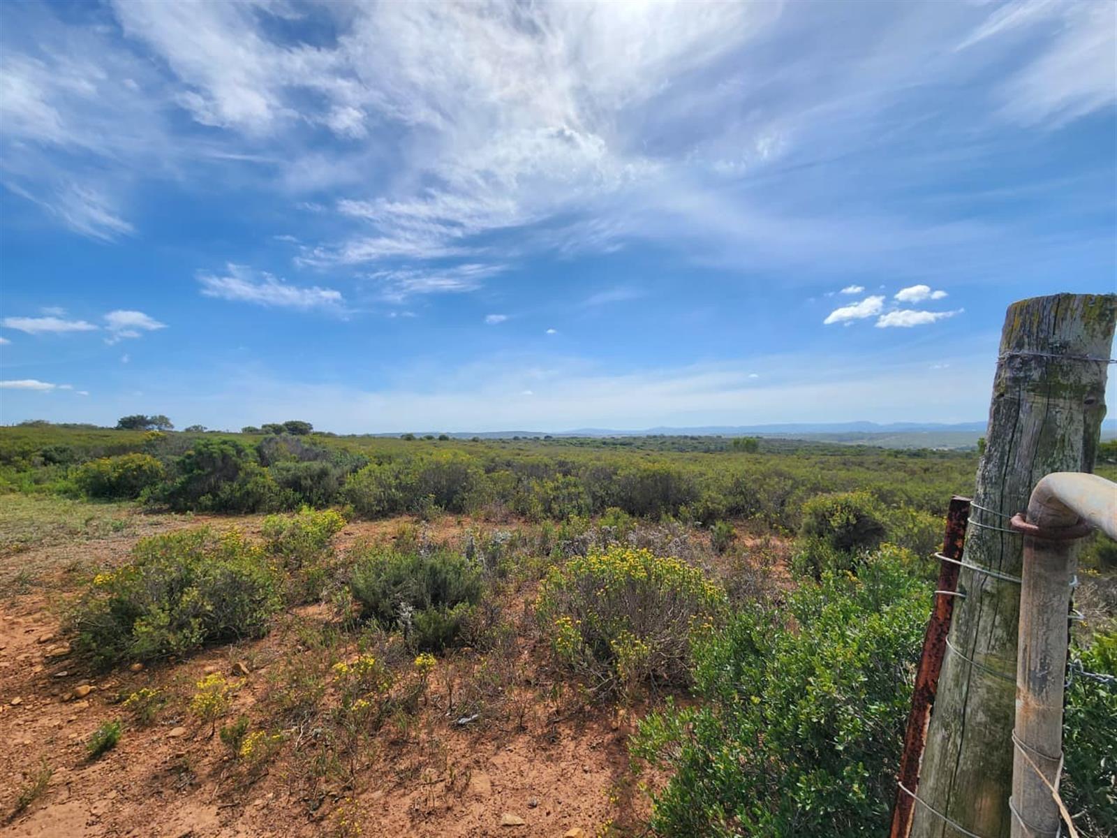 Coastal Land Like This Is Almost Gone - Developers, Act Now!
