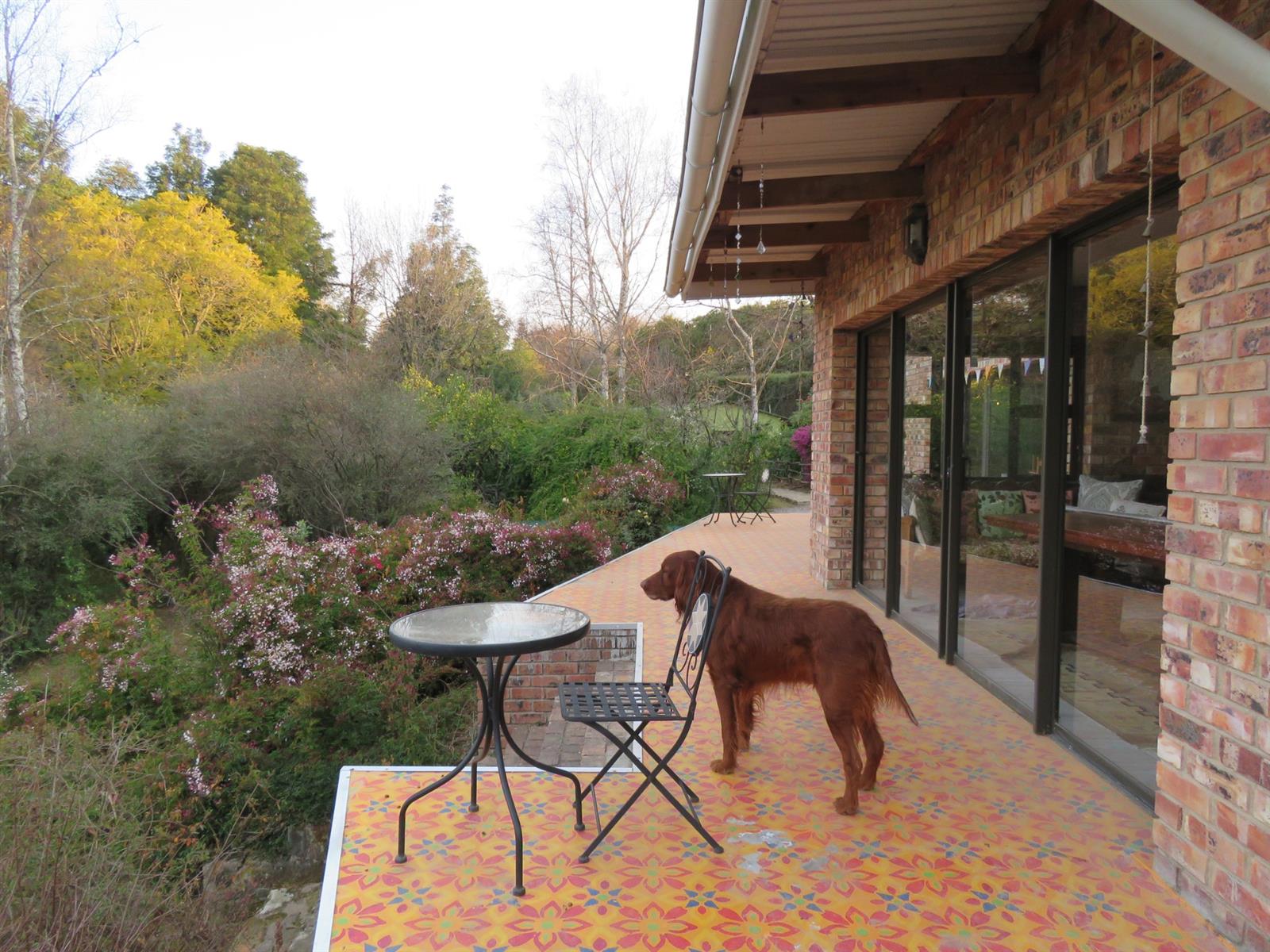 House For Sale in Hogsback, Eastern Cape