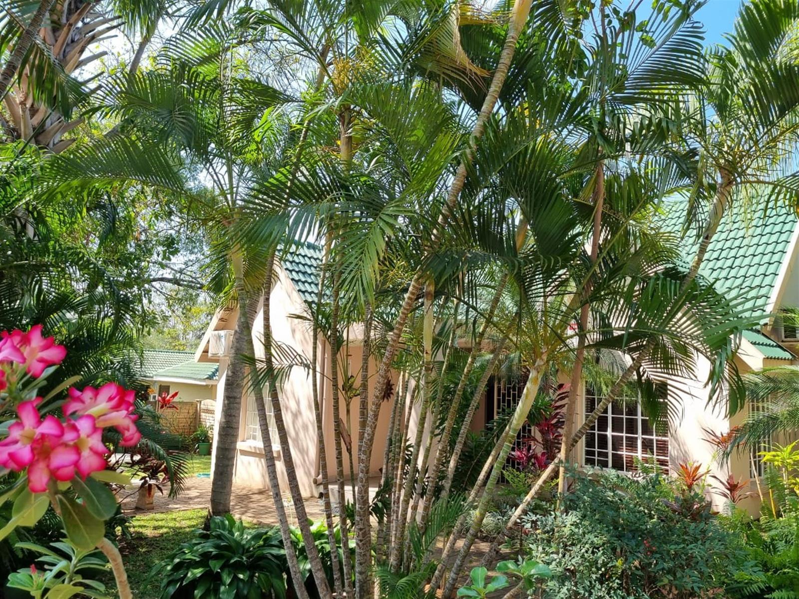 Spacious 6-Bedroom Solar-Powered Oasis with Pool and Expansive Gardens