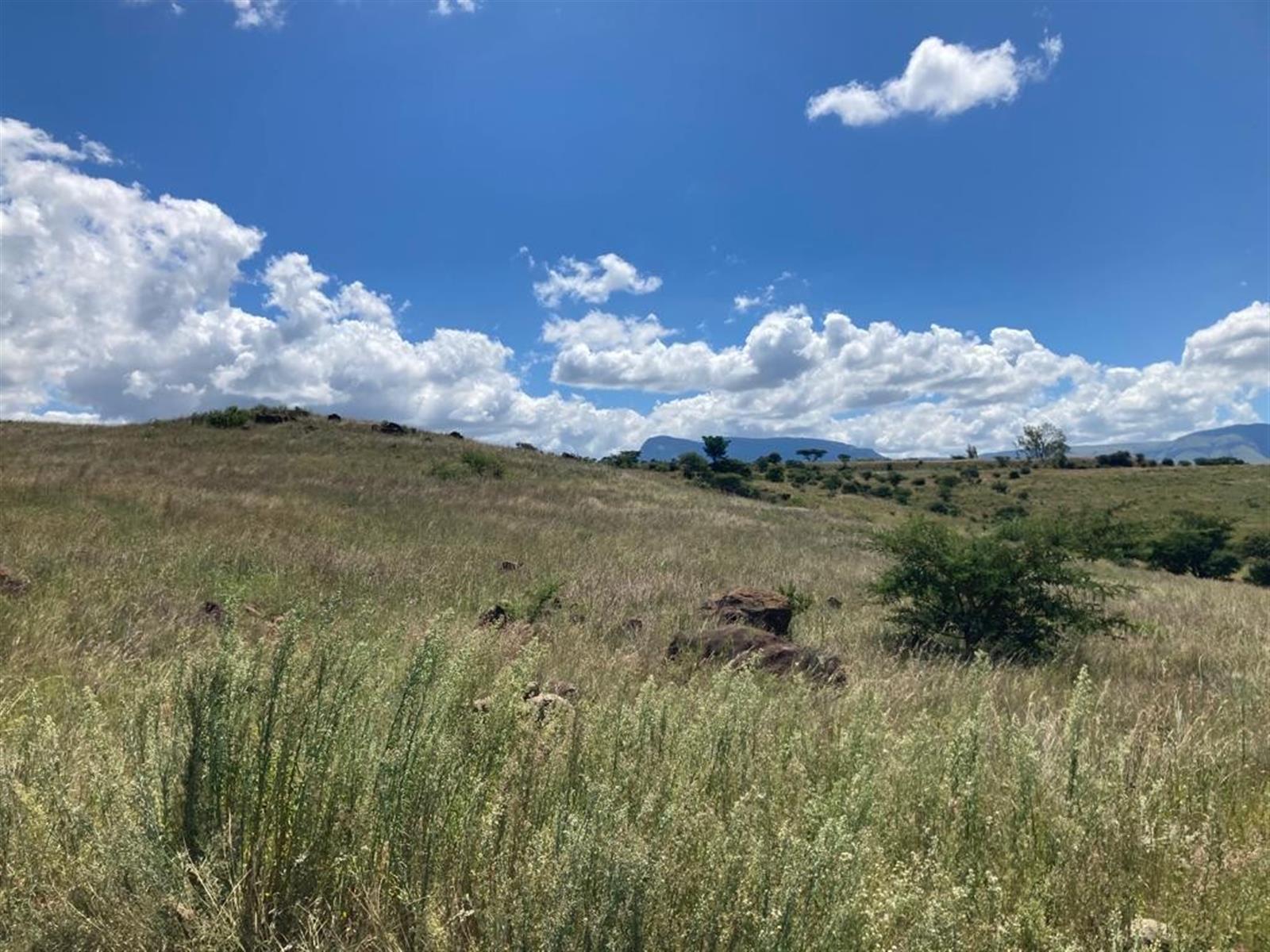 Own your share in a perfect lock-up-and-go opportunity on a Pristine Wildlife Farm